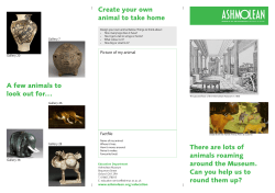 Create your own animal to take home There are lots of animals