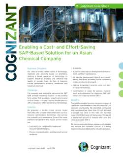 Enabling a Cost- and Effort-Saving SAP-Based Solution