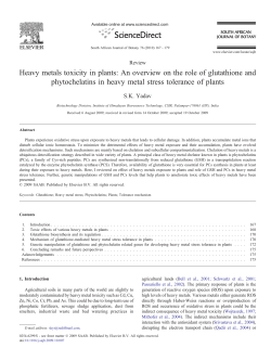 Heavy metals toxicity in plants: An overview on the role of