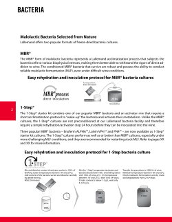 Malolactic Fermentation Overview