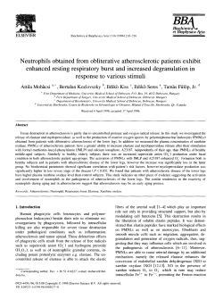 Neutrophils obtained from obliterative atherosclerotic patients