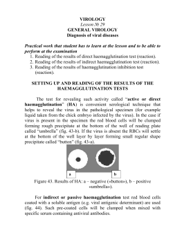 VIROLOGY Lesson № 29 GENERAL VIROLOGY Diagnosis of viral