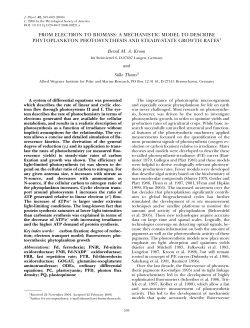 from electron to biomass: a mechanistic model