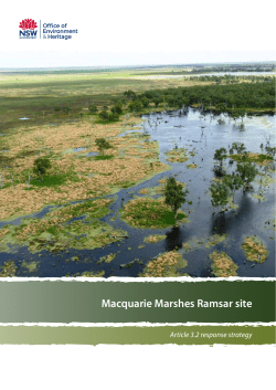 Macquarie Marshes Ramsar site: Article 3.2 response strategy