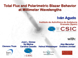 Total Flux and Polarimetric Blazar Behavior at Millimeter