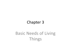 Environmental Science