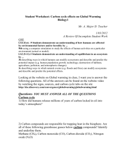 Student Worksheet: Carbon cycle effects on Global