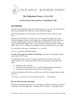 Is it a Fit? An Overview of Sales and Free Consultation