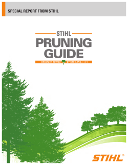 pruning guide