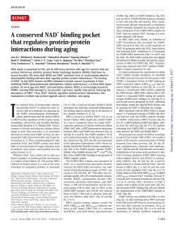 A conserved NAD + binding pocket that regulates protein