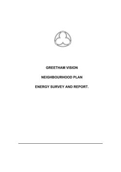 GREETHAM NEIGHBOURHOOD PLAN ENERGY SURVEY