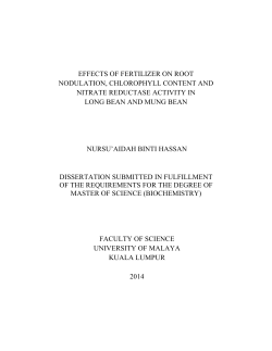effects of fertilizer on root nodulation, chlorophyll content and nitrate