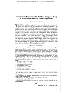 Fluorescence Microscopy with Acridine Orange