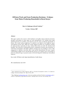 Off-farm Work and Farm Production Decisions