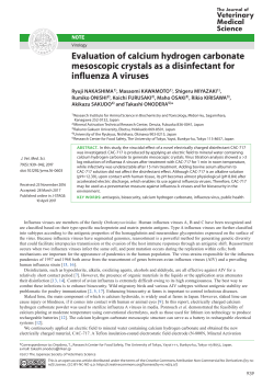 Evaluation of calcium hydrogen carbonate mesoscopic - J