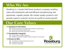 Roseburg Vision and Values Web