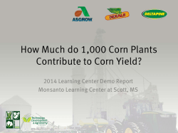 How Much do 1000 Corn Plants Contribute to Corn Yield