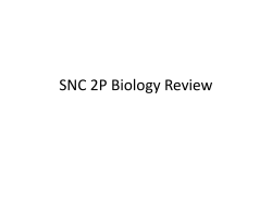 Biology Review