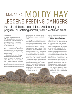 lessens feeding dangers