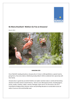 Be Mama Braziliant! Mothers Go Free at Amazona!