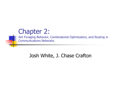 Chapter 2: Ant Foraging Behavior, Combinatorial Optimization, and