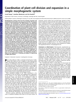 Coordination of plant cell division and expansion in a