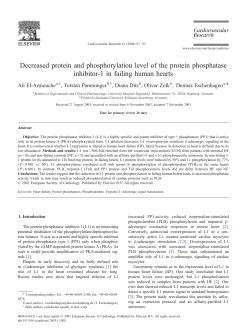 Decreased protein and phosphorylation level of the protein