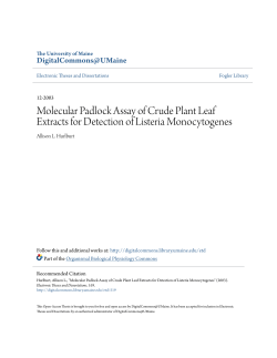 Molecular Padlock Assay of Crude Plant Leaf Extracts for Detection