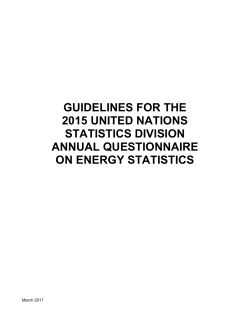 Energy Questionnaire Guidelines - United Nations Statistics Division