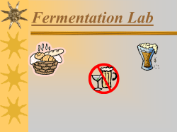 Fermentation Lab