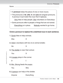 Circle a pronoun to replace the underlined noun in each sentence. 1