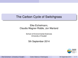 The Carbon Cycle of Switchgrass