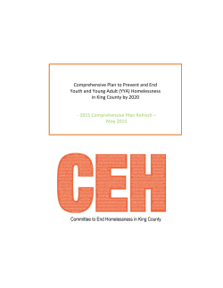 Comprehensive Plan to Prevent and End Youth and Young Adult