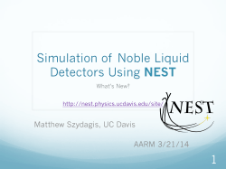 Simulation of Noble Liquid Detectors Using NEST