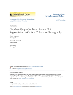 Geodesic Graph Cut Based Retinal Fluid Segmentation in Optical