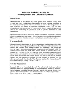 The Molecular Model Set for Photosynthesis and Cellular