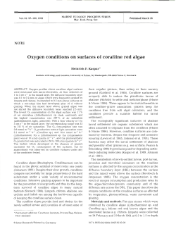 Oxygen conditions on surfaces of coralline red algae