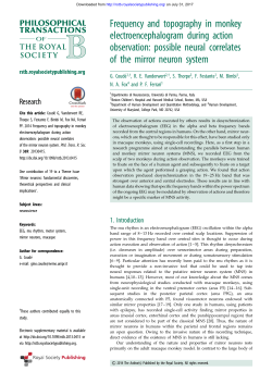 Frequency and topography in monkey electroencephalogram during