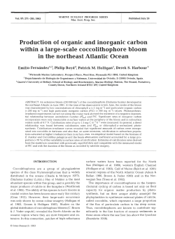 Production of organic and inorganic carbon within a