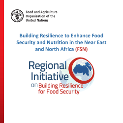 FSN - Food and Agriculture Organization of the United Nations