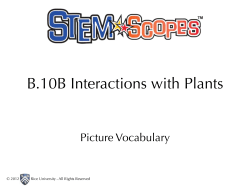 B.10B Interactions with Plants