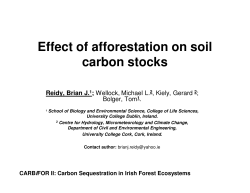 Effect of afforestation on soil carbon stocks