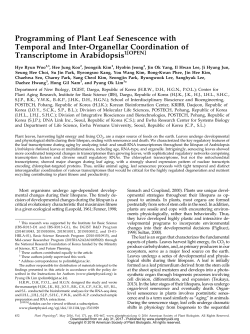 Programming of Plant Leaf Senescence with