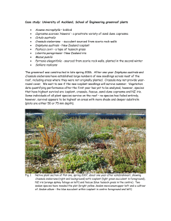 Case study: Waitakere Civic Centre Greenroof plants