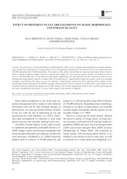 effect of different plant arrangements on maize