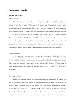 Supplementary material