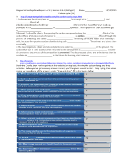 Biogeochemical cycle webquest