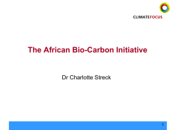 Workshop DanishCarbon.dk - Africa Climate Solution