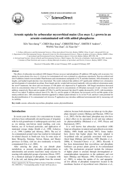 Arsenic uptake by arbuscular mycorrhizal maize (Zea mays L