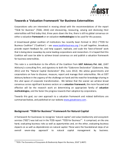 Towards a `Valuation Framework` for Business Externalities